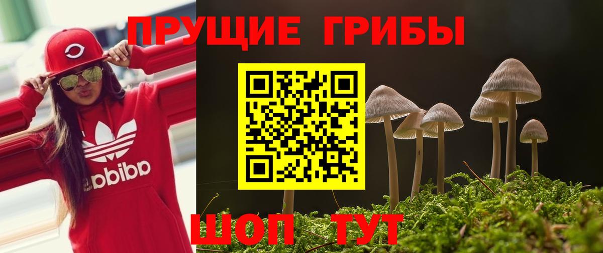 Кизляр  Псилоцибиновые грибы Psilocybine cubensis  Вход с VPN  Галлюциногенные грибы мицелий 